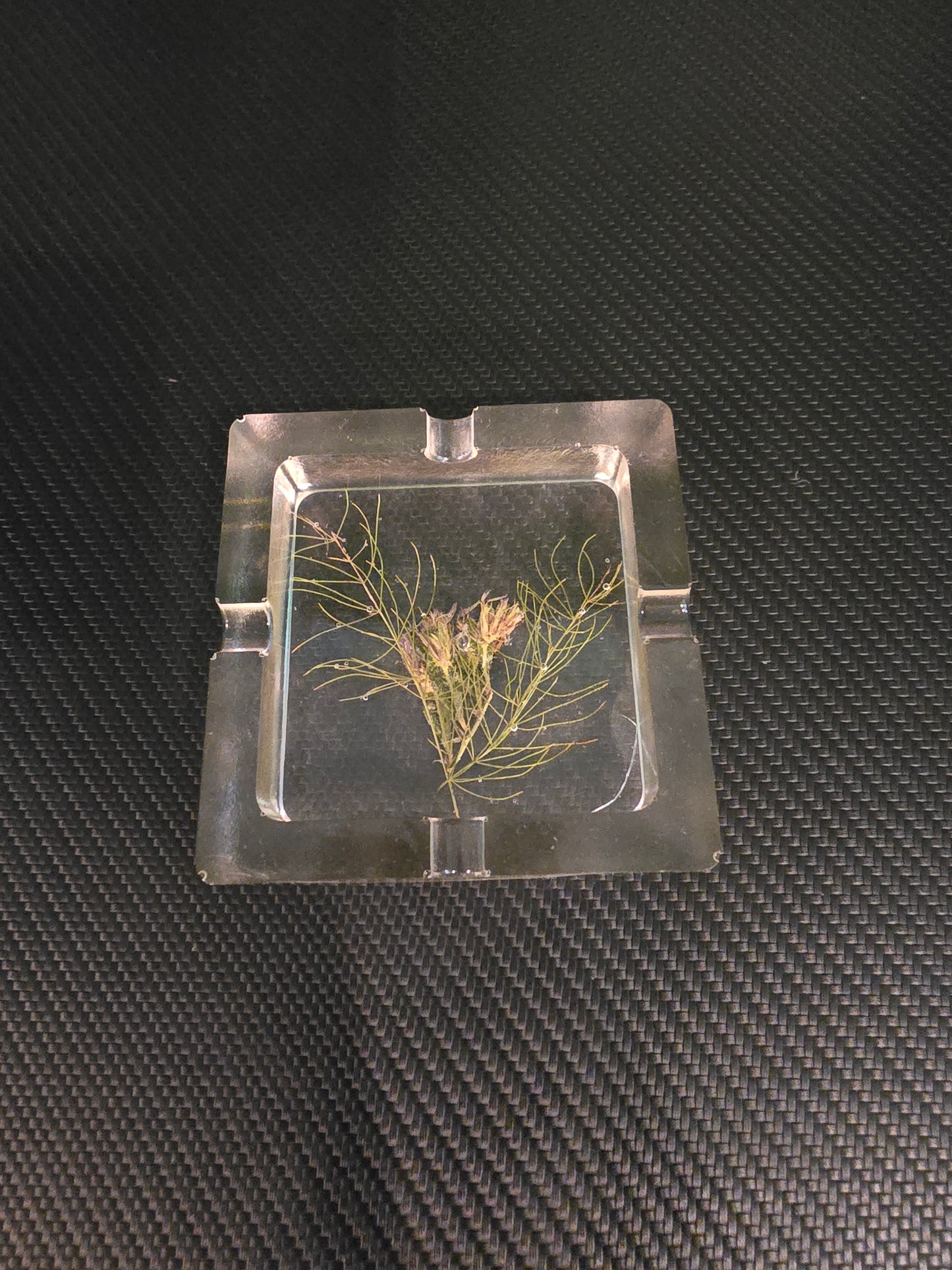 Flower ash tray/jewlry dish